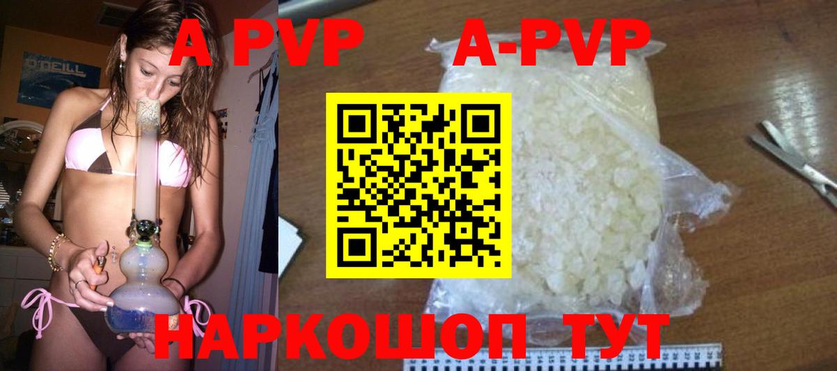 где купить наркотик  Вход с VPN  A-PVP СК  Тосно  А ПВП Соль 