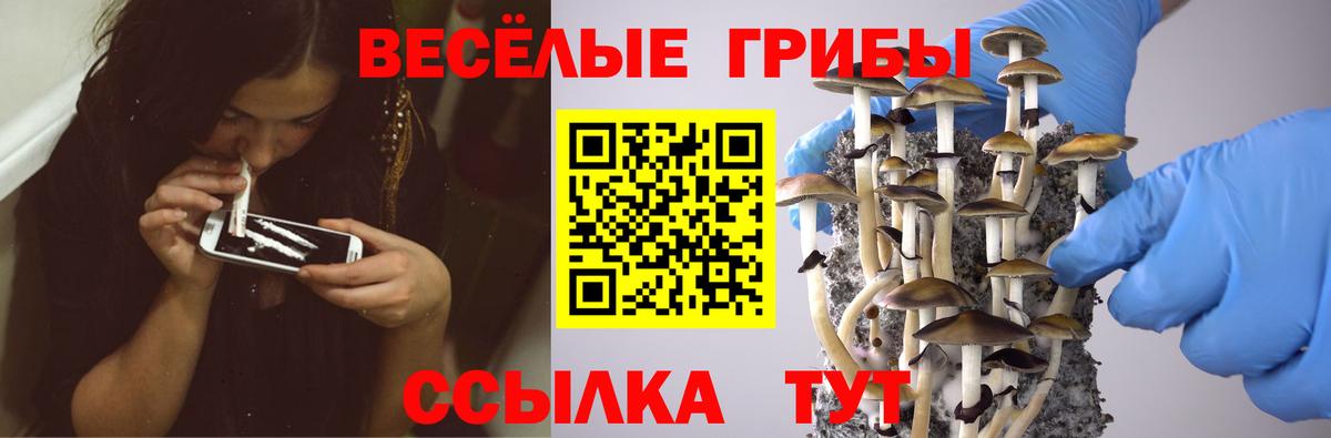 Галлюциногенные грибы GOLDEN TEACHER Тосно